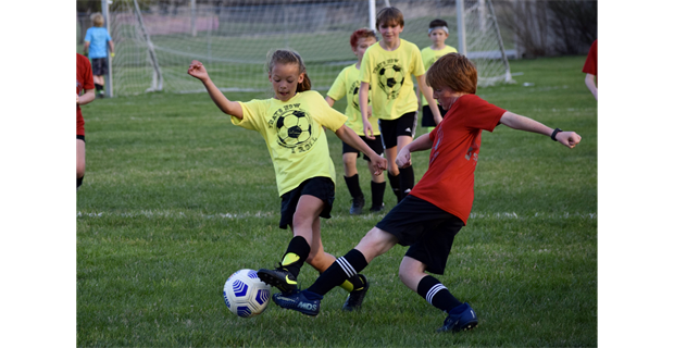 WIN THE BALL!